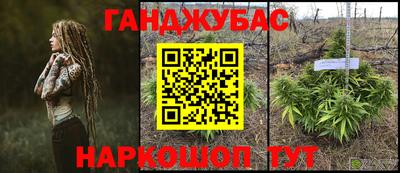 крисы Северобайкальск