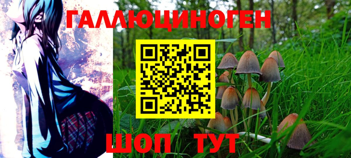 Галлюциногенные грибы GOLDEN TEACHER Сальск